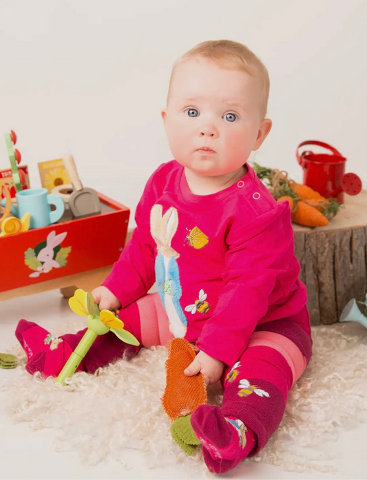 Peter Rabbit Autumn Leaf Bundle