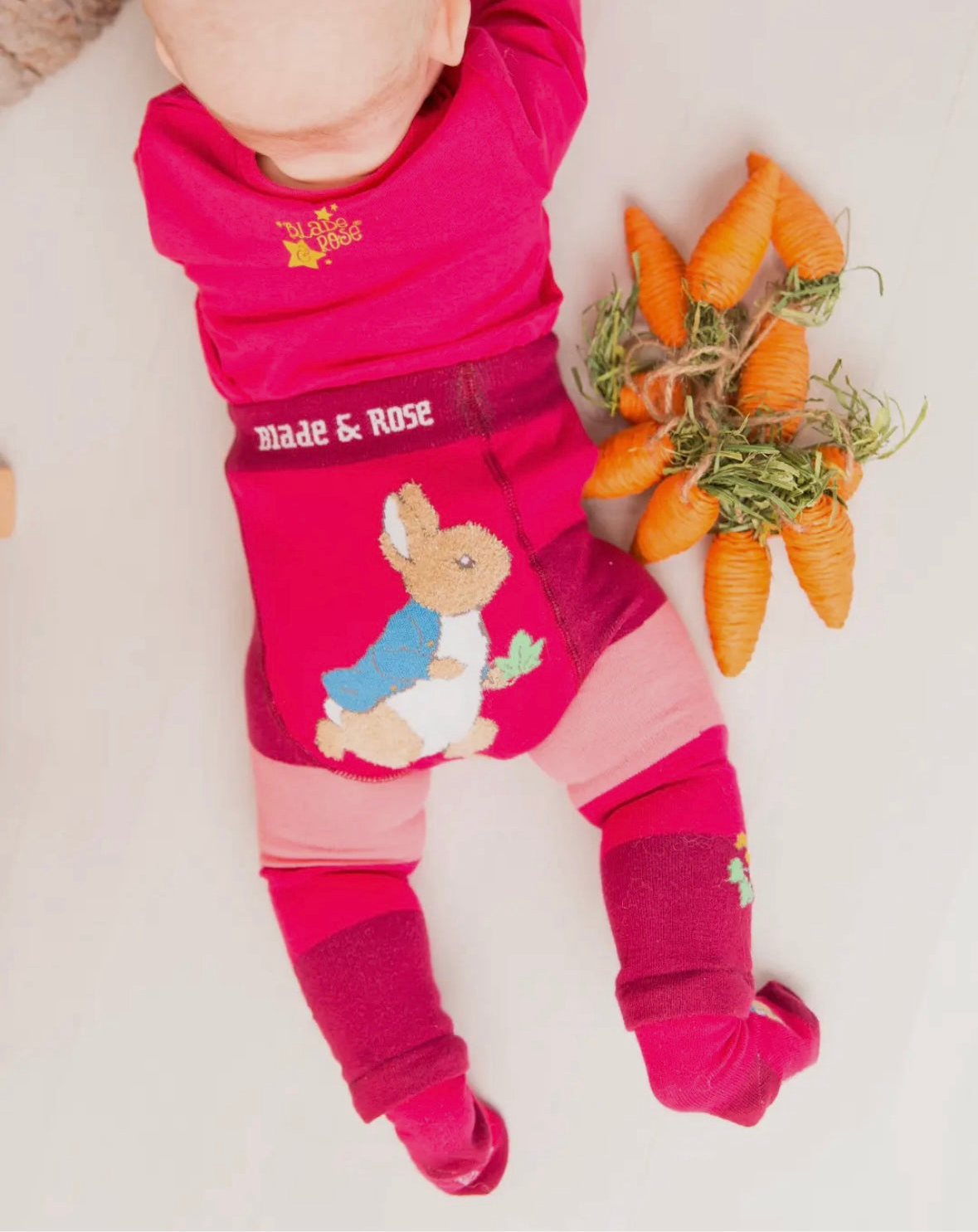 Peter Rabbit Autumn Leaf Bundle