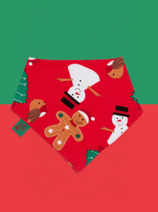 Snowman Bib